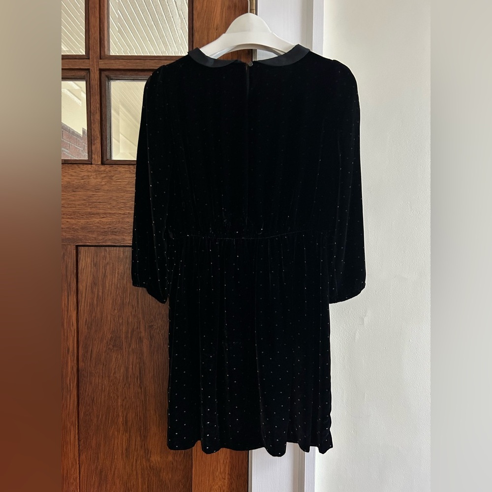 Black velvet with subtle dots